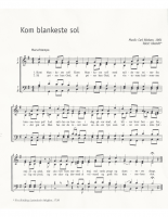 Kom blankeste sol