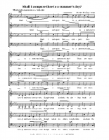Shall I compare thee – Morten Poulsen